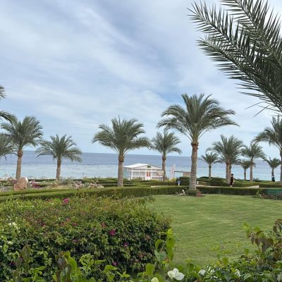 Marsa Alam Egypt Fantazia Resort — фото погоды в декабре (2025-12-21)