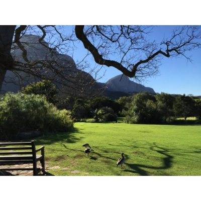Kirstenbosch Botanical Garden в августе — фото погоды (2015-08-06)