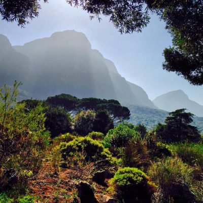 Kirstenbosch Botanical Garden в августе — фото погоды (2015-08-07)
