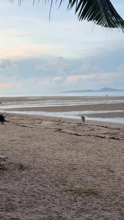 Ban-Tai Koh Phangan в октябре — фото погоды (2025-10-19)