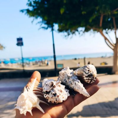 Playa De Las Vistas Beach, Los Cristianos в июне — фото погоды (2026-06-05)