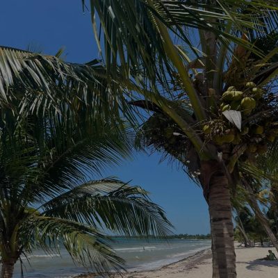 Playa Larga в мае — фото погоды (2025-05-17)
