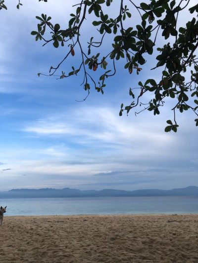 Moal Boal, Basdako Beach Resort — фото погоды в июне (2026-06-29)