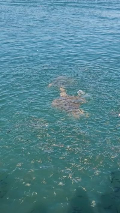 Dalyan River & Turtle Beach в сентябре — фото погоды (2025-09-24)