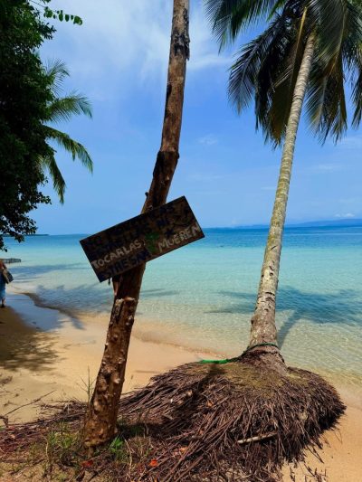 Isla Zapatilla, Bocas Del Toro, Panamá в августе — фото погоды (2025-08-24)