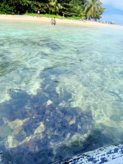 Isla Zapatilla, Bocas Del Toro, Panamá в январе — фото погоды (2026-01-09)