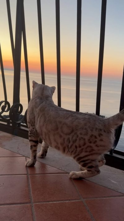 Giardini Naxos Lungomare в июле — фото погоды (2026-07-07)