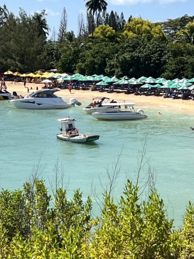 Ilha de Santo Aleixo в июле — фото погоды (2026-07-15)