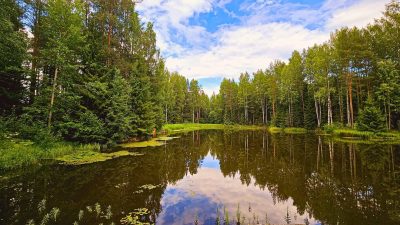 Mandrogi Russia в августе — фото погоды (2024-08-13)
