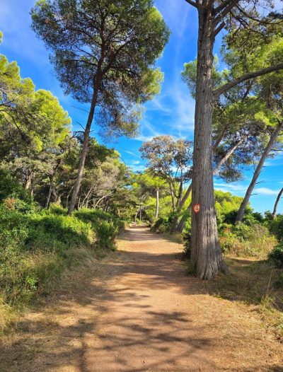 Île Saint-Honorat в октябре — фото погоды (2025-10-18)