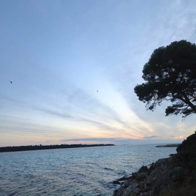 Île Saint-Honorat в январе — фото погоды (2026-01-03)