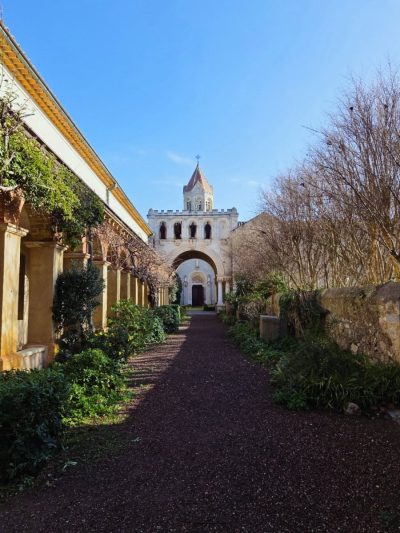 Île Saint-Honorat в январе — фото погоды (2026-01-16)
