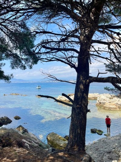 Île Saint-Honorat в мае — фото погоды (2026-05-05)