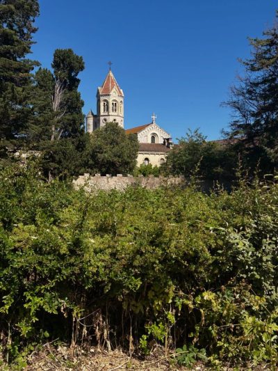 Île Saint-Honorat в мае — фото погоды (2026-05-22)