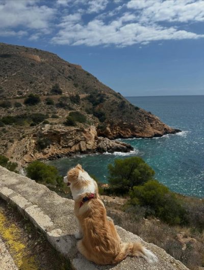 Cala Tío Ximo (Benidorm) в марте — фото погоды (2026-03-28)