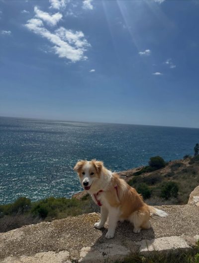 Cala Tío Ximo (Benidorm) в марте — фото погоды (2026-03-28)