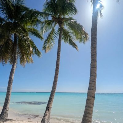 Playa Palmilla, Bayahibe, Republica Dominicana в апреле — фото погоды (2026-04-22)