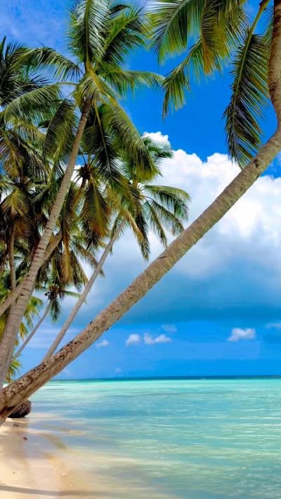 Playa Palmilla, Bayahibe, Republica Dominicana в июне — фото погоды (2026-06-03)