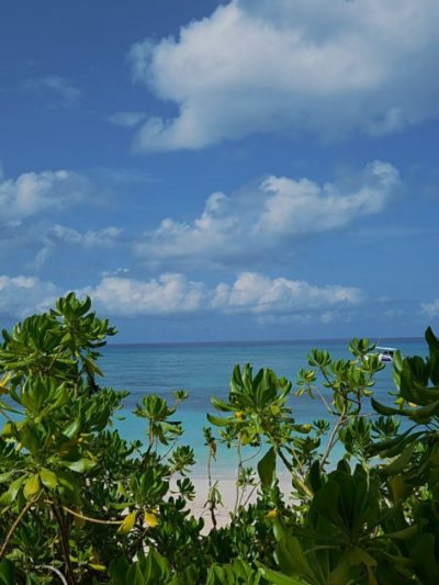 Dreams Dominicus La Romana в июне — фото погоды (2026-06-13)