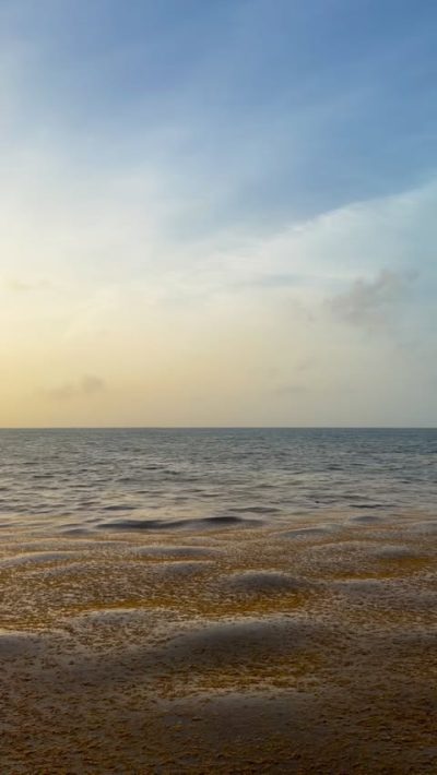 Playacar Beach в июле — фото погоды (2026-07-12)