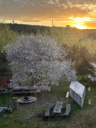 Nida Art Colony / Nidos meno kolonija в мае — фото погоды (2026-05-20)