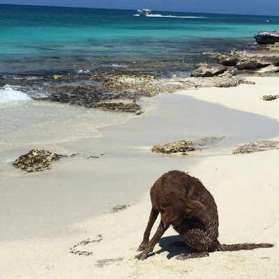Los Roques Paradise в марте — фото погоды (2026-03-24)