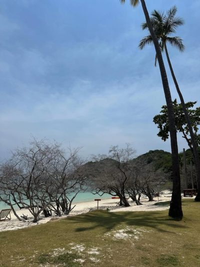Haad Tien Beach Resort, Koh Tao — фото погоды в мае (2026-05-10)