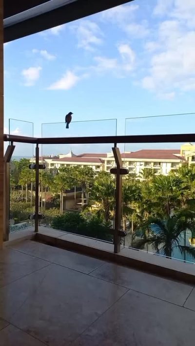 The Mulia, Mulia Resort & Villas, Bali — фото погоды в июне (2026-06-18)