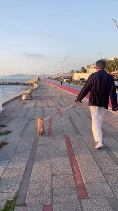 Bodrum Turgut Reis в октябре — фото погоды (2025-10-25)