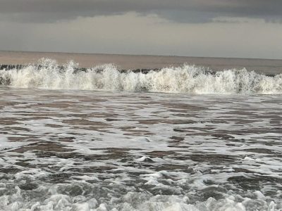 Пунтаренас в феврале — фото погоды (2023-02-03)