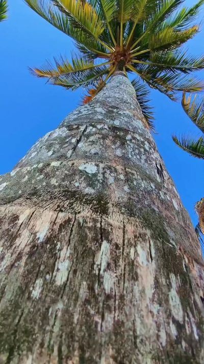 Sultan Sand, Zanzibar в феврале — фото погоды (2026-02-12)
