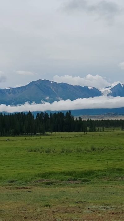 Курай в июле — фото погоды (2026-07-21)