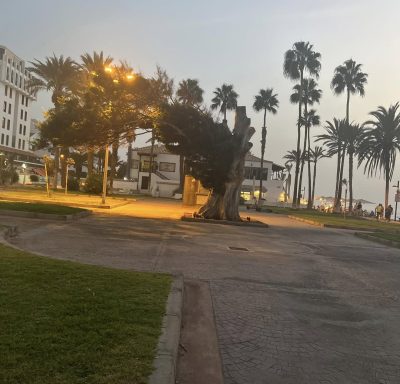 Tenerife - Playa de las Americas - в сентябре — фото погоды (2025-09-21)