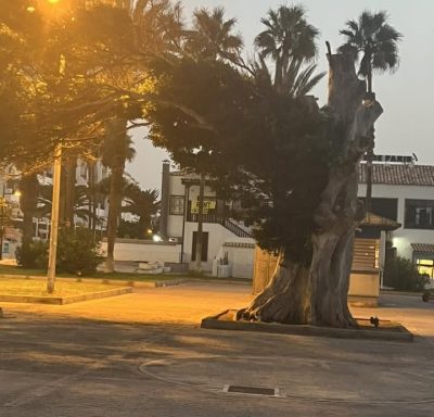 Tenerife - Playa de las Americas - в сентябре — фото погоды (2025-09-21)