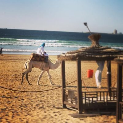 Plage Sofitel Agadir (sur Le Sable!!€ в январе — фото погоды (2017-01-04)
