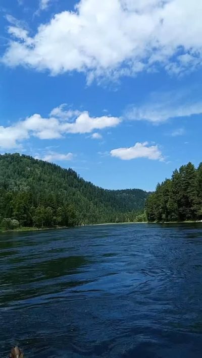 Teletskoe Lake в августе — фото погоды (2025-08-12)