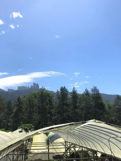 Genting Strawberry Leisure Farms в августе — фото погоды (2025-08-30)