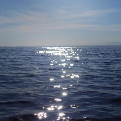 Ловина в августе — фото погоды (2025-08-31)