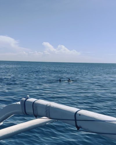 Lovina Dolphin & Snorkeling в мае — фото погоды (2026-05-25)