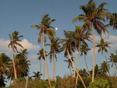 Seenu Feydhoo в январе — фото погоды (2025-01-20)