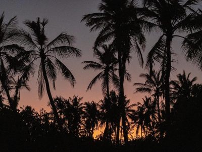 Seenu Feydhoo в январе — фото погоды (2025-01-20)