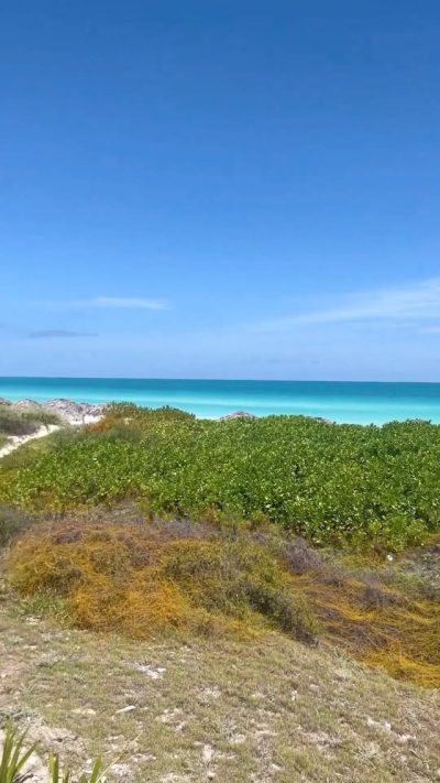 Royalton Cayo Santa Maria Cuba в августе — фото погоды (2023-08-24)
