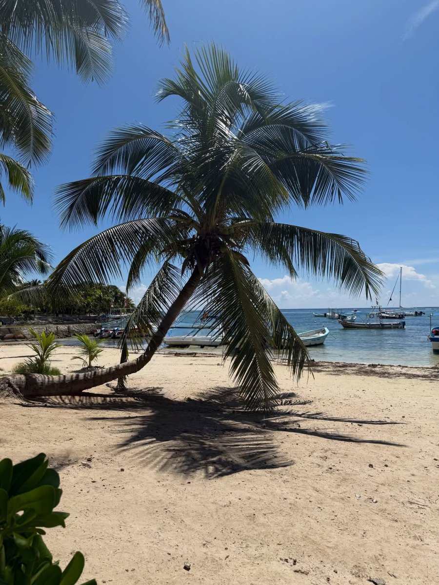 Погода в Playa Akumal Riviera Maya