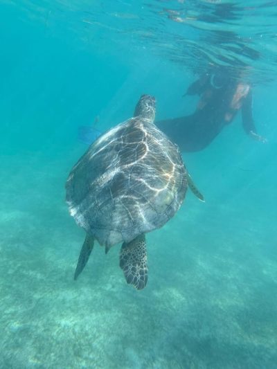 Playa Akumal Riviera Maya в январе — фото погоды (2026-01-20)