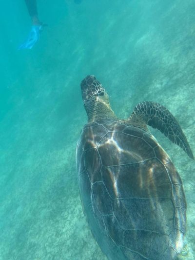 Playa Akumal Riviera Maya в январе — фото погоды (2026-01-20)