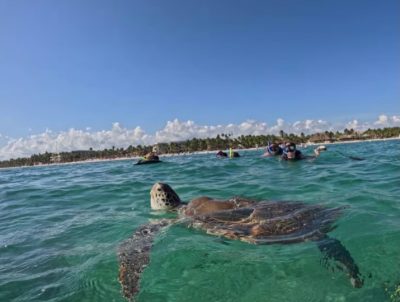 Playa Akumal Riviera Maya в июле — фото погоды (2026-07-06)