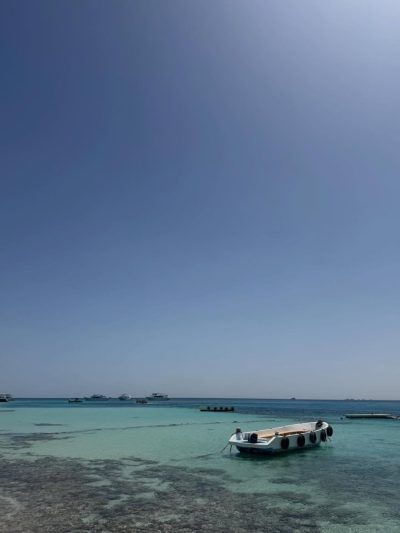 Paradise Red Sea в апреле — фото погоды (2026-04-10)