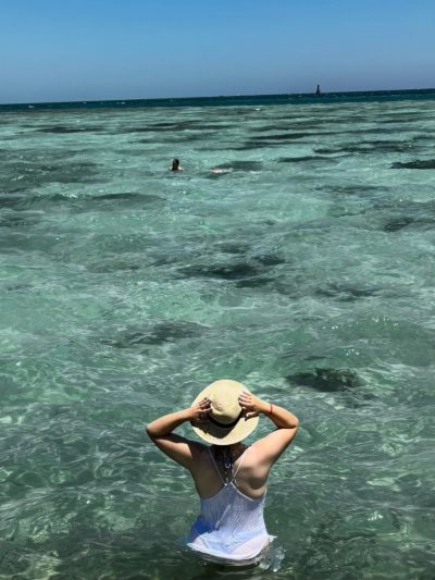 Paradise Red Sea в июле — фото погоды (2026-07-14)