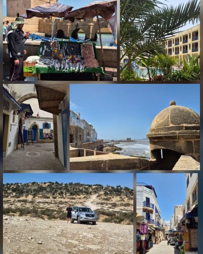 Le Médina Essaouira Thalassa Sea & Spa - MGallery — фото погоды в июне (2026-06-14)