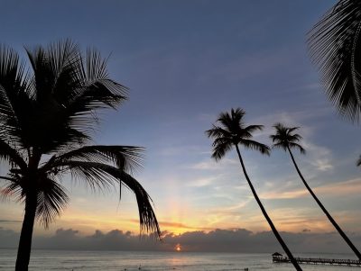 Catalonia Bayahibe в декабре — фото погоды (2025-12-15)